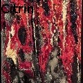 Ione Citrin -  - Wood