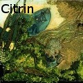 Ione Citrin -  - Water Color